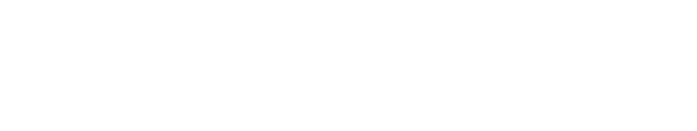 logo_dohieuus_w