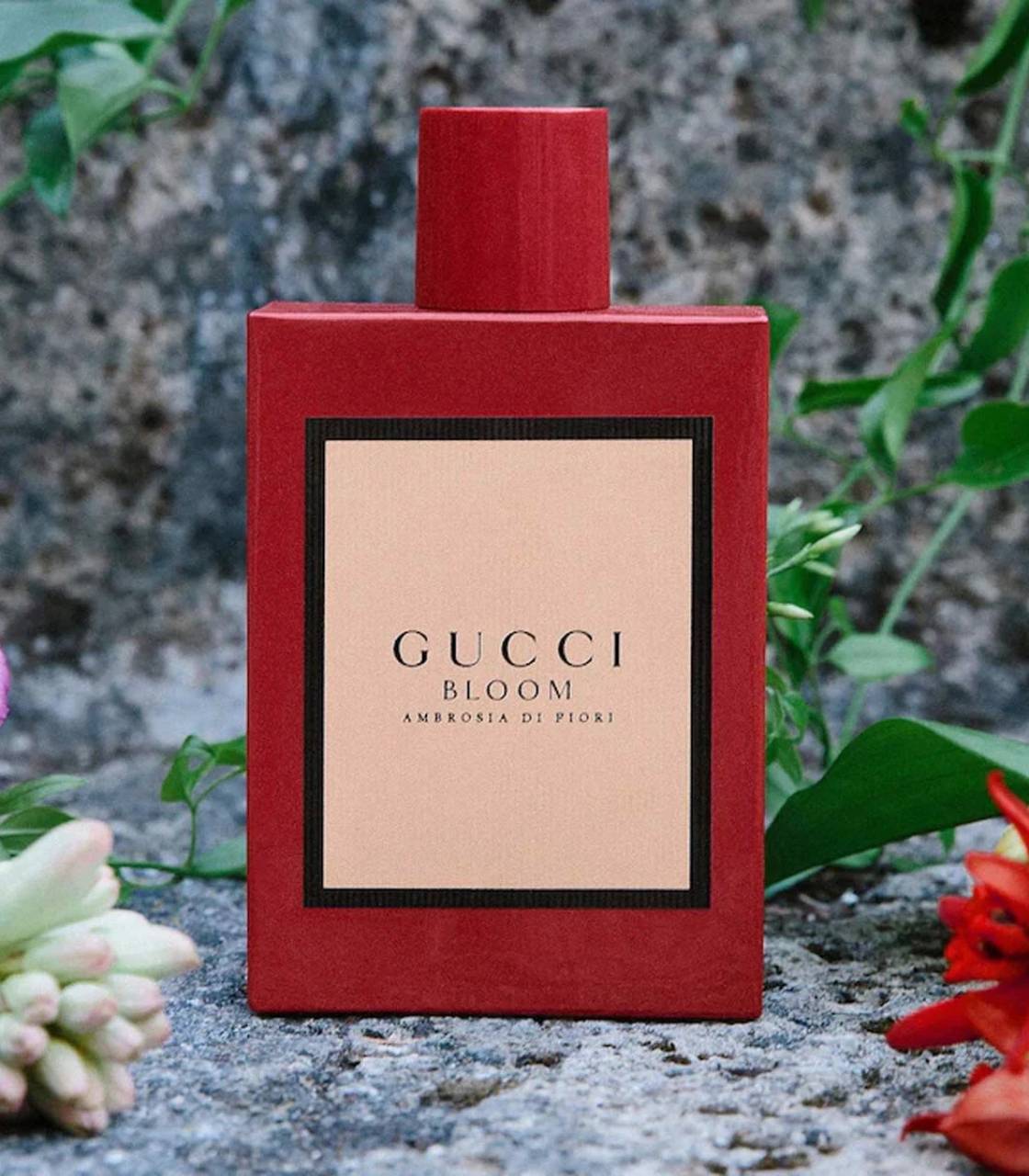 Gucci Bloom Ambrosia Di Fiori EDP Intense