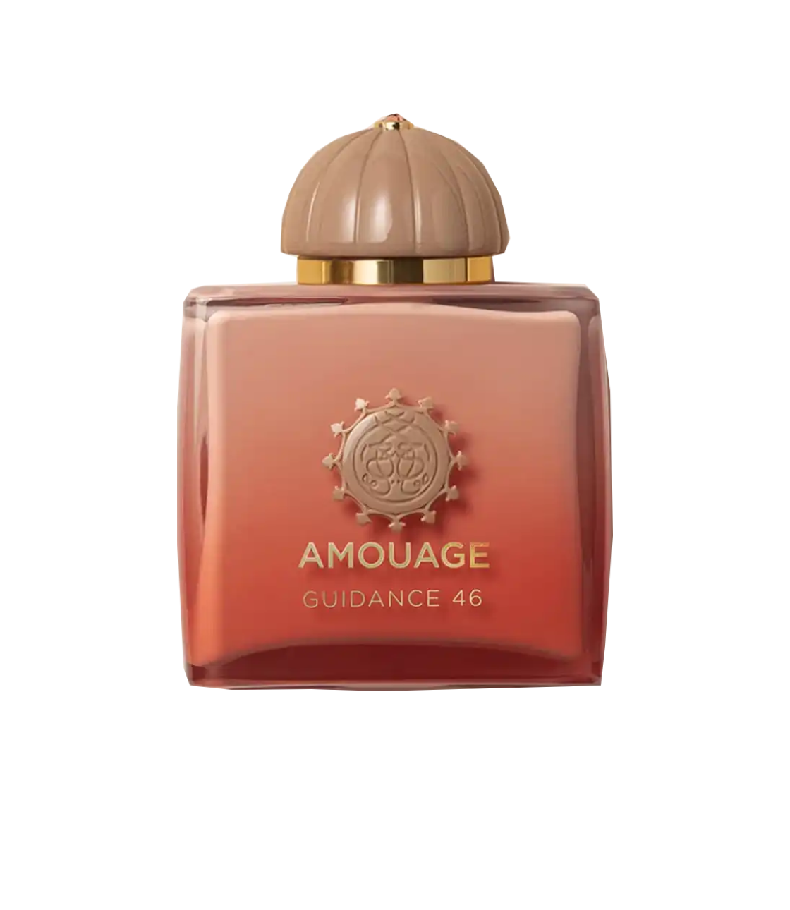 Amouage Guidance 46 Extrait De Parfum
