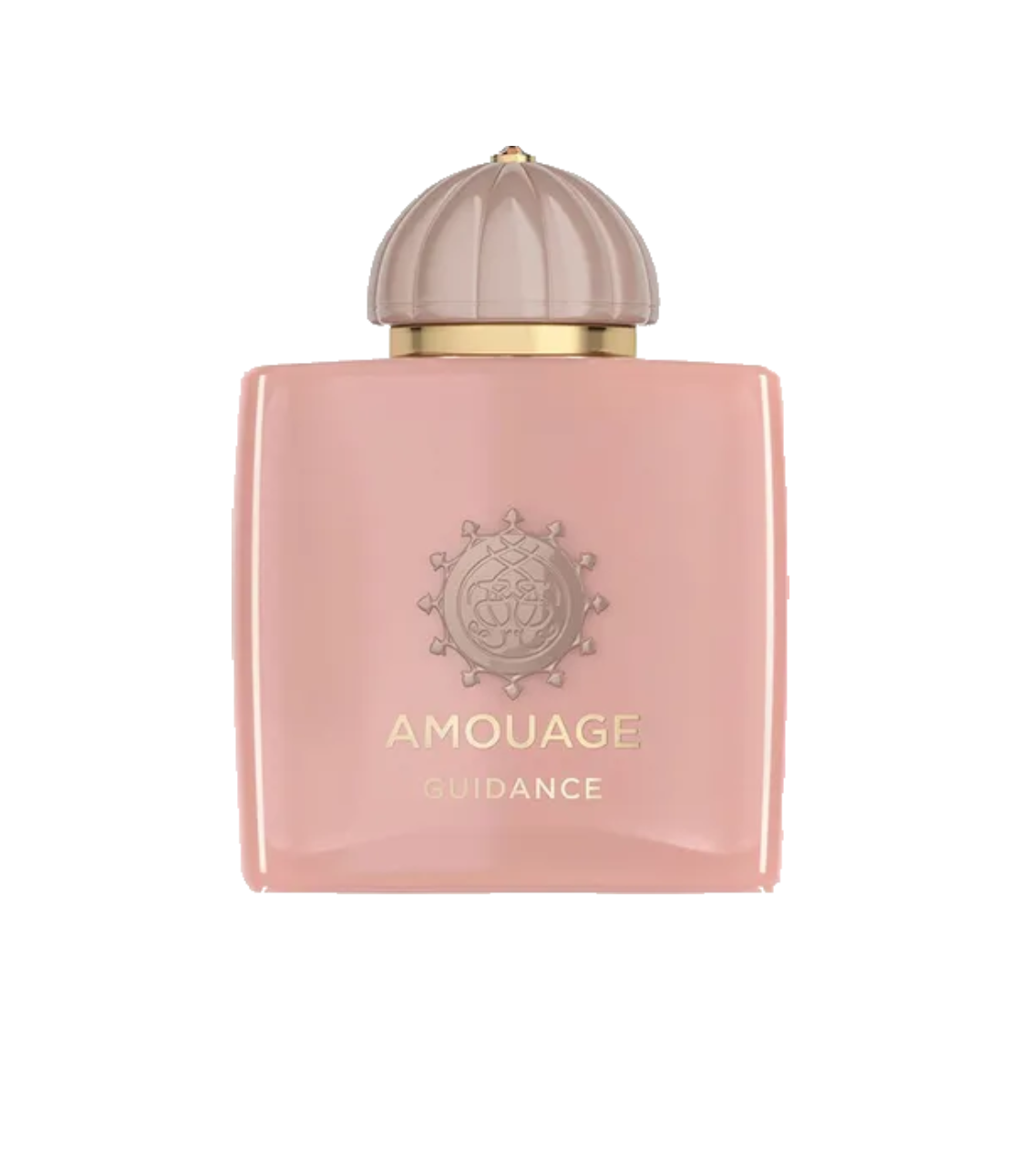 Amouage Guidance EDP